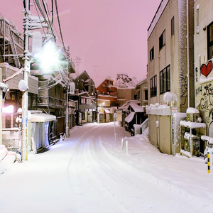 胖女人1-45集免费播放电视剧在线观看
