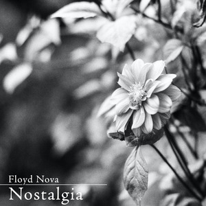 胖女人1-45集免费播放电视剧在线观看
