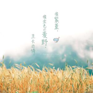 胖女人1-45集免费播放电视剧在线观看
